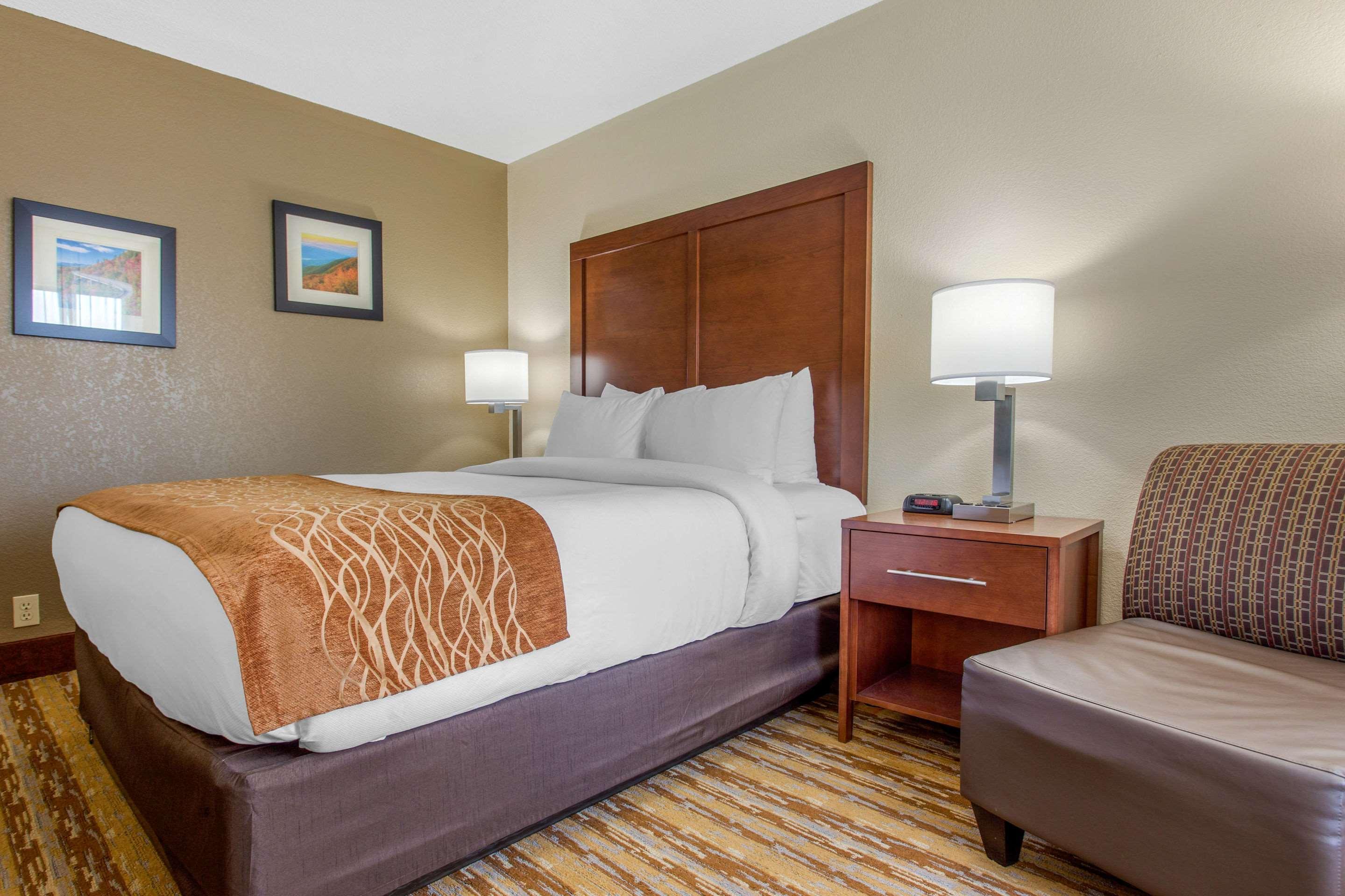 Comfort Inn Asheville East-Blue Ridge Pkwy Access Екстериор снимка