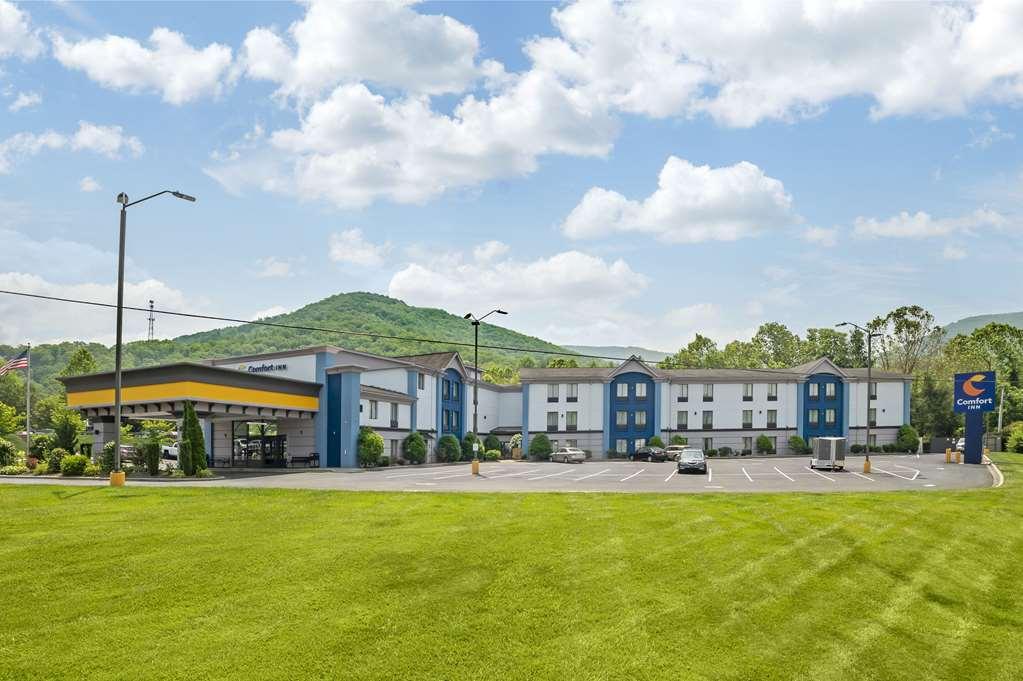 Comfort Inn Asheville East-Blue Ridge Pkwy Access Екстериор снимка