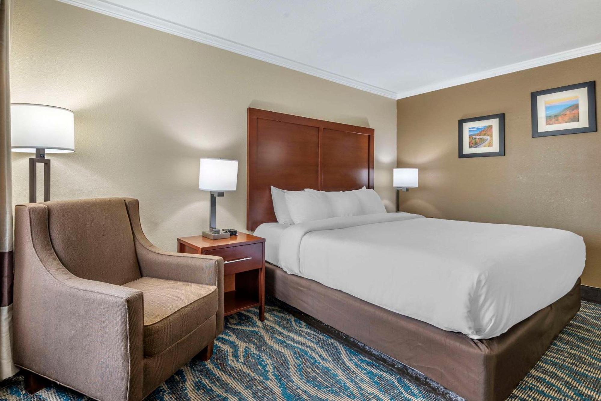 Comfort Inn Asheville East-Blue Ridge Pkwy Access Екстериор снимка